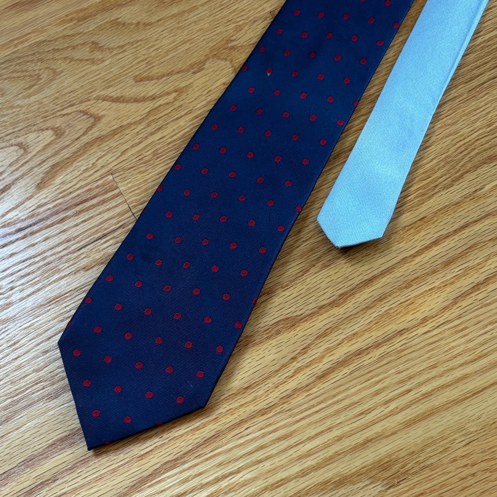 Elegant Navy and Light Blue Polka Dot Ties